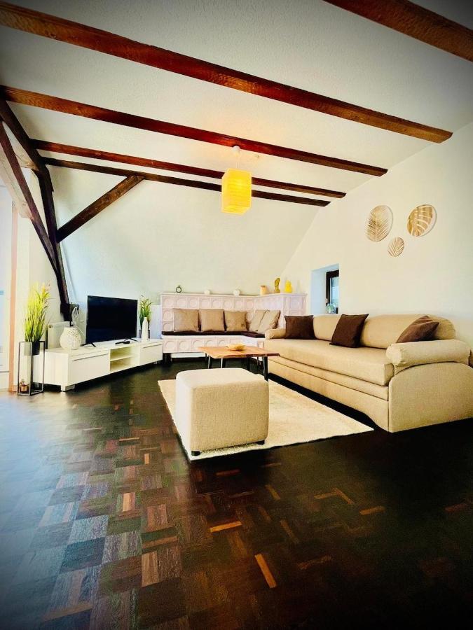 Chris & Aris Ferienwohnung Waldshut Zentrum Luaran gambar
